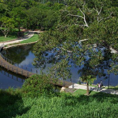 The lakes at UQ's St Lucia campus